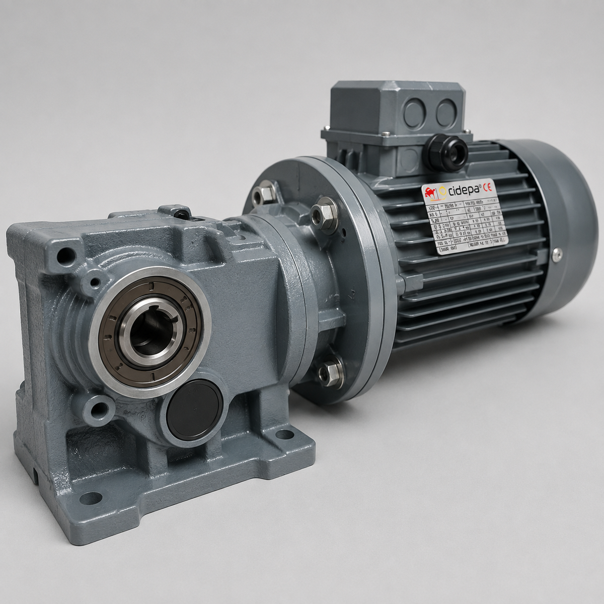 Motor Reductor Trifásico