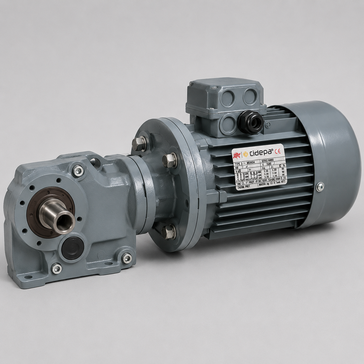Motor Reductor Trifásico